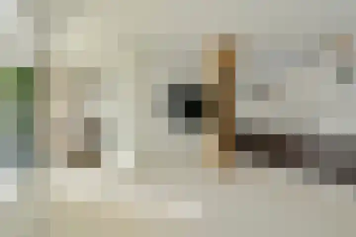 Scheggertdijk 84 Almen thumbnail 33