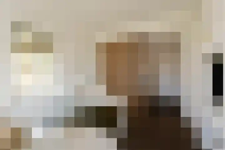Scheggertdijk 84 Almen thumbnail 36