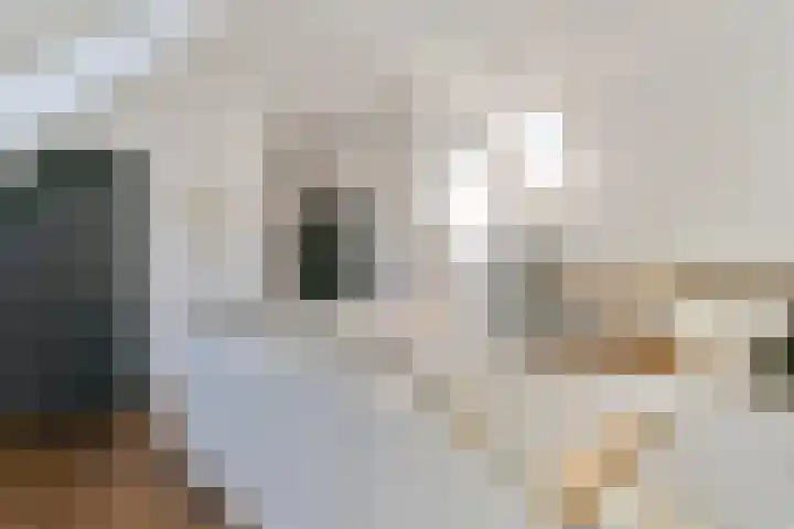 Scheggertdijk 84 Almen thumbnail 38