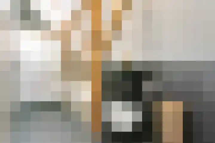 Scheggertdijk 84 Almen thumbnail 42