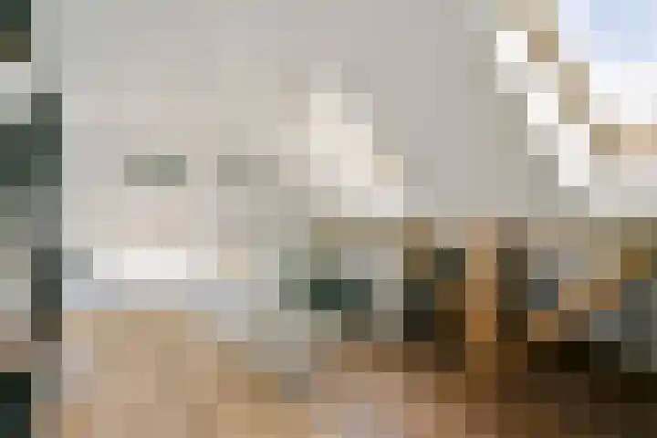 Scheggertdijk 84 Almen thumbnail 47