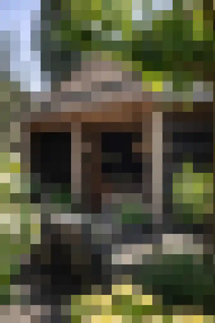 Scheggertdijk 84 Almen thumbnail 53