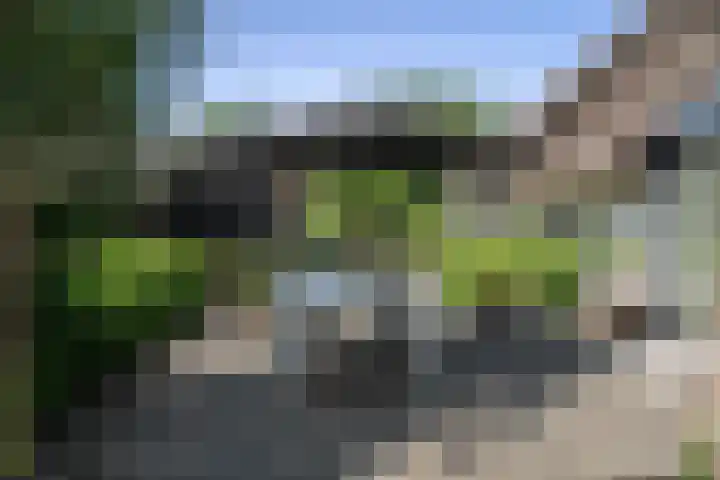 Scheggertdijk 84 Almen thumbnail 54