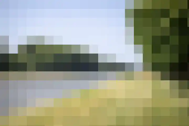 Scheggertdijk 84 Almen thumbnail 55