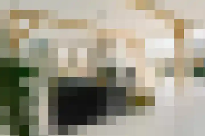 Scheggertdijk 84 Almen thumbnail 6