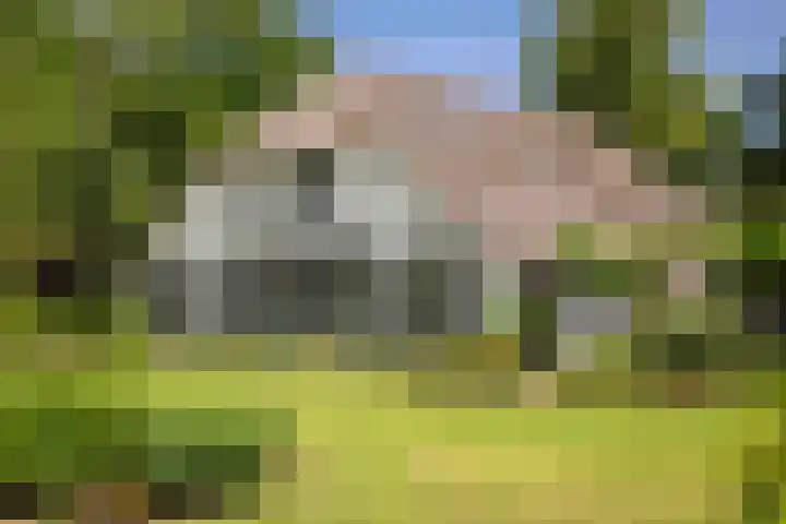 Scheggertdijk 84 Almen thumbnail 8