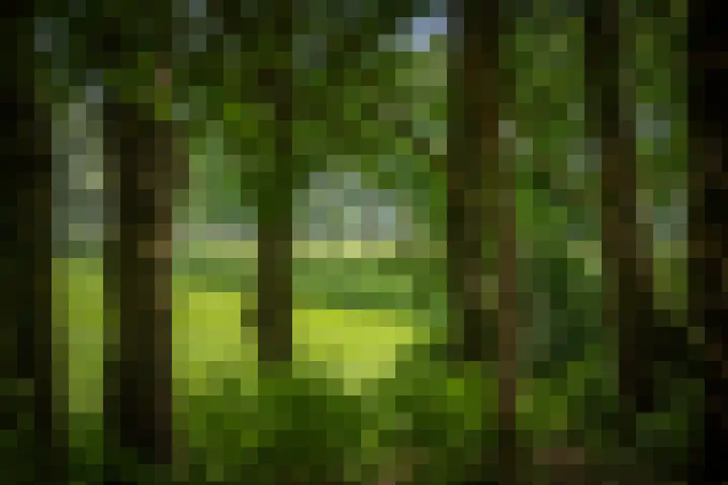 Scheggertdijk 90 Almen thumbnail 12