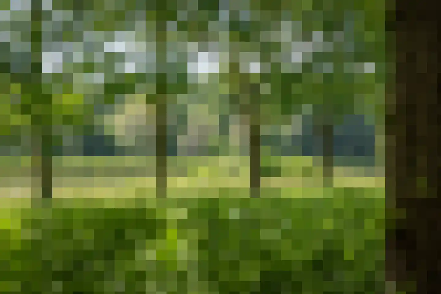 Scheggertdijk 90 Almen thumbnail 13