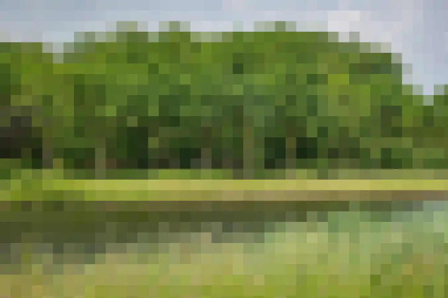 Scheggertdijk 90 Almen thumbnail 15