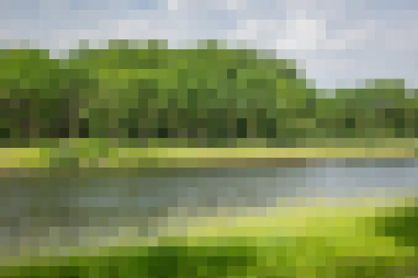 Scheggertdijk 90 Almen thumbnail 16