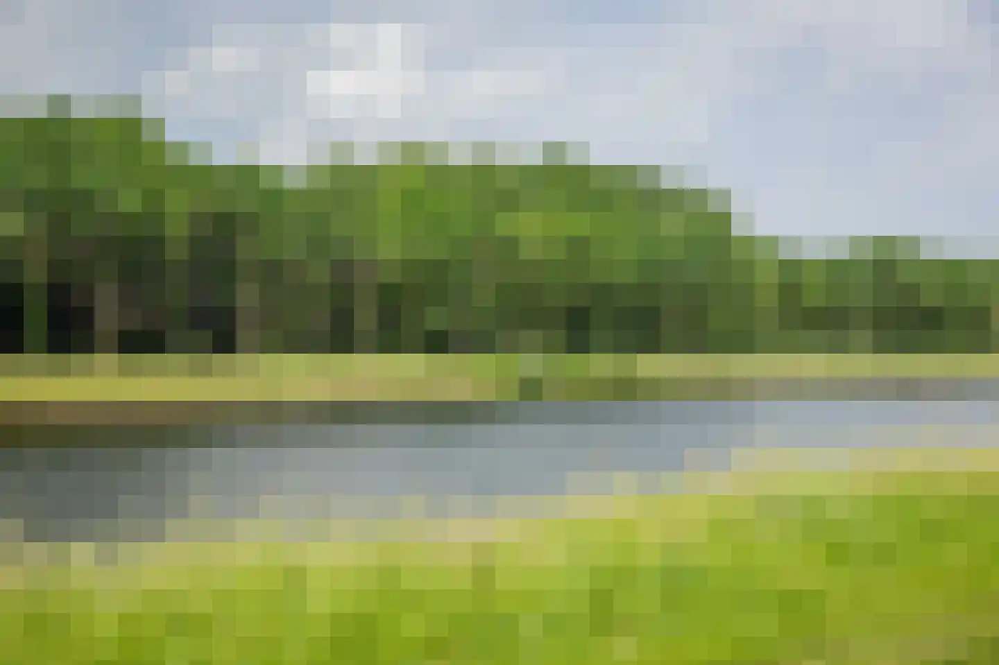 Scheggertdijk 90 Almen thumbnail 17