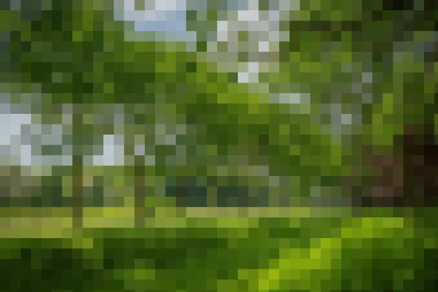 Scheggertdijk 90 Almen thumbnail 18