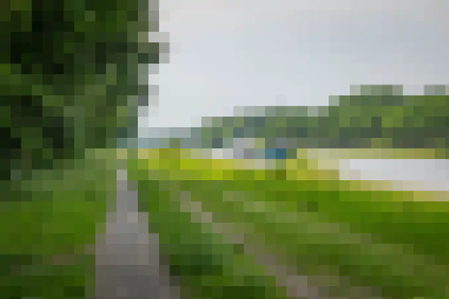 Scheggertdijk 90 Almen thumbnail 19