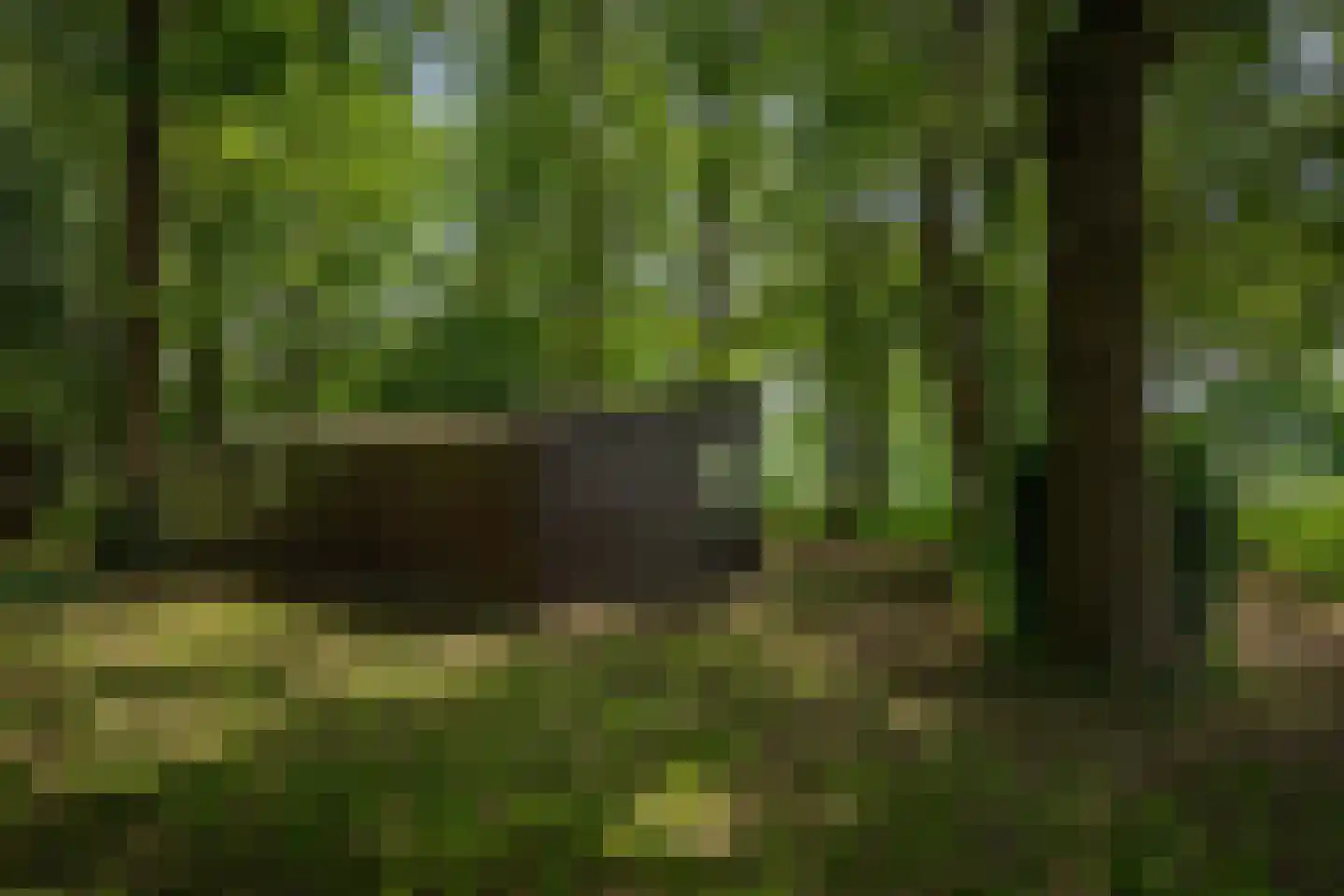 Scheggertdijk 90 Almen thumbnail 21