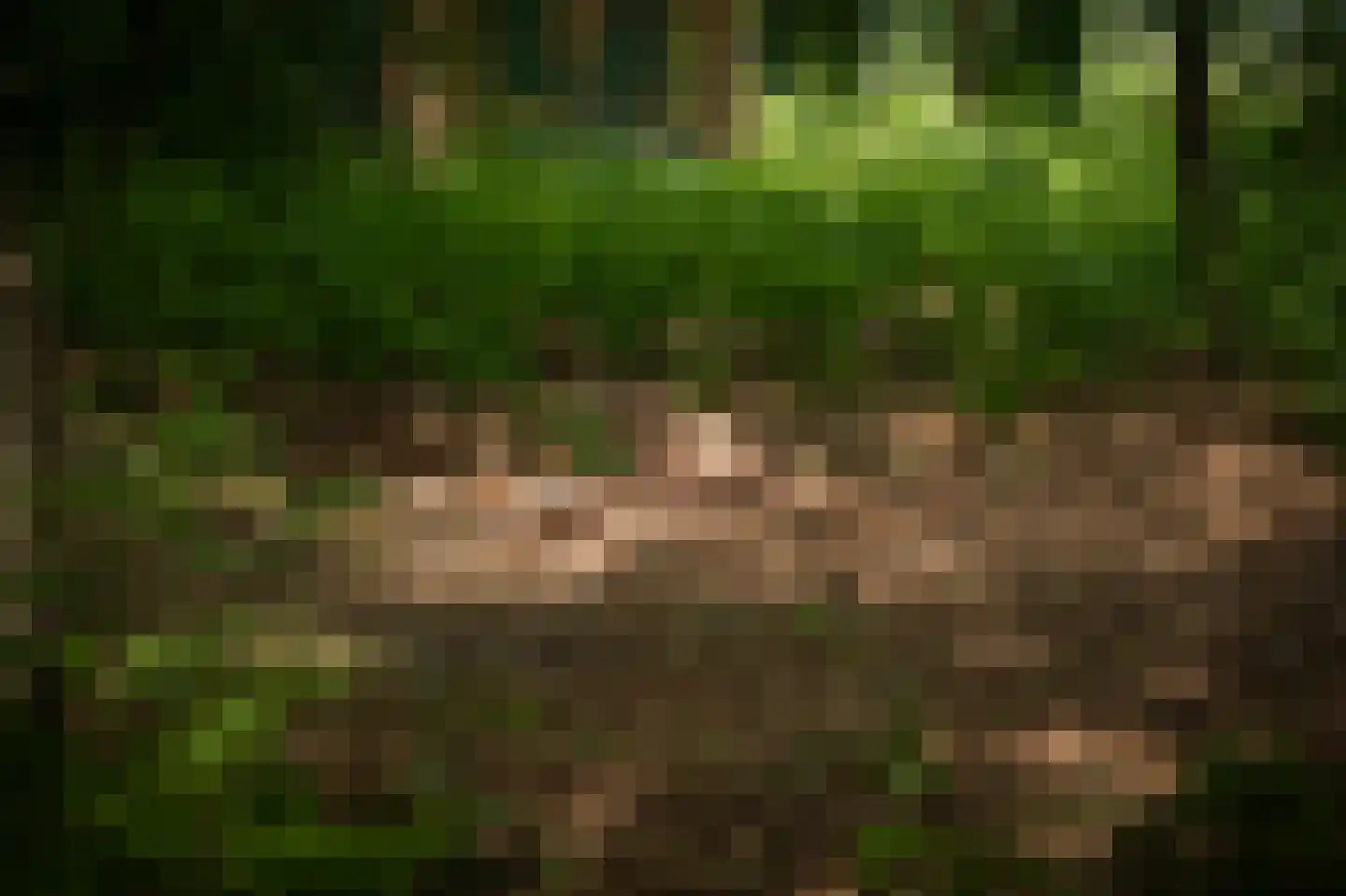 Scheggertdijk 90 Almen thumbnail 22