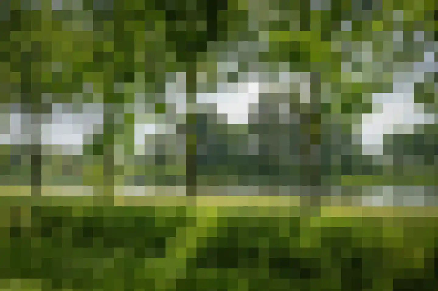 Scheggertdijk 90 Almen thumbnail 23