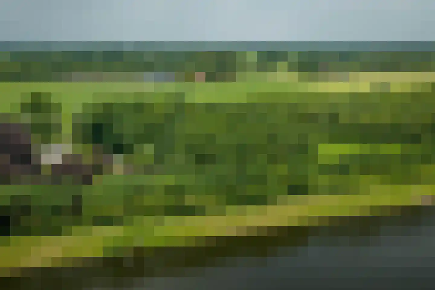 Scheggertdijk 90 Almen thumbnail 24