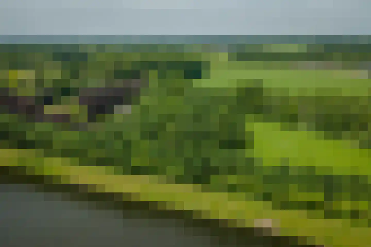 Scheggertdijk 90 Almen thumbnail 25