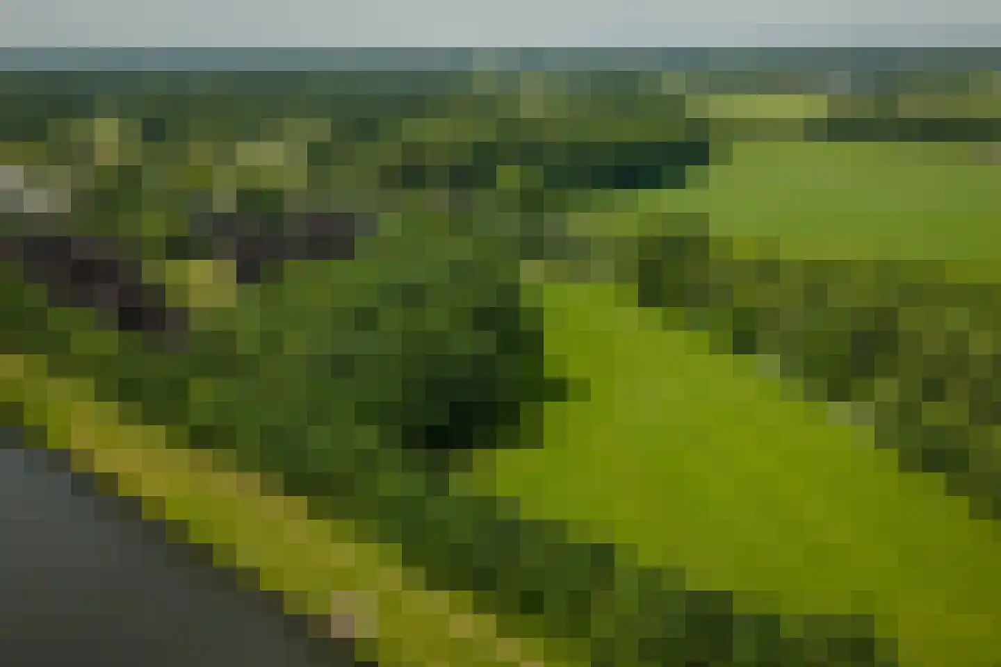 Scheggertdijk 90 Almen thumbnail 26