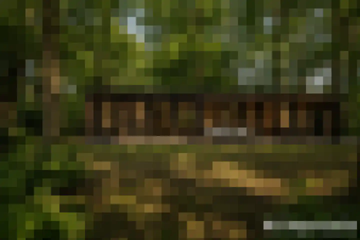 Scheggertdijk 90 Almen thumbnail 28