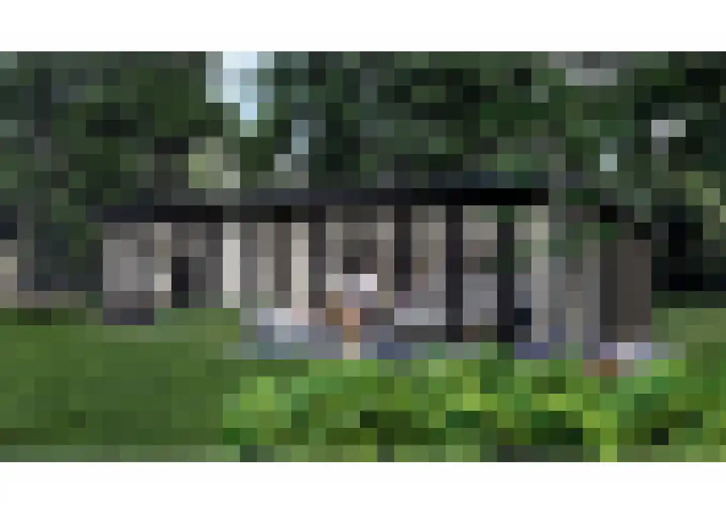 Scheggertdijk 90 Almen thumbnail 29