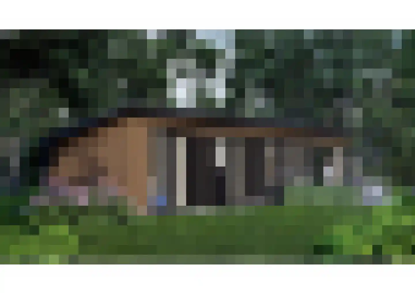 Scheggertdijk 90 Almen thumbnail 30