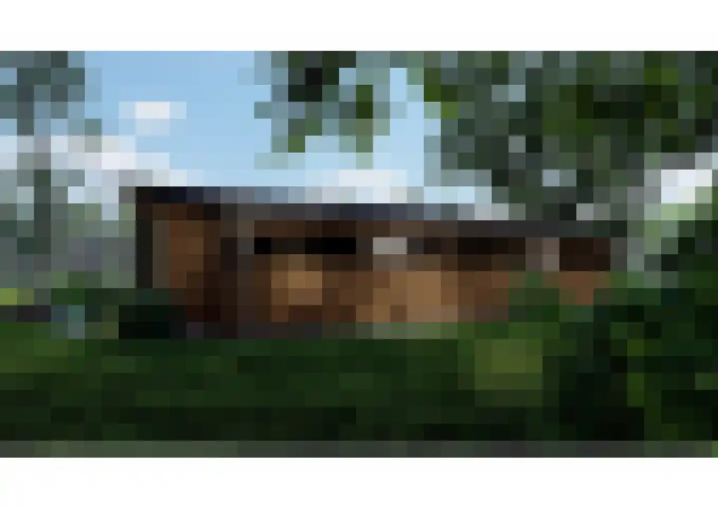 Scheggertdijk 90 Almen thumbnail 34