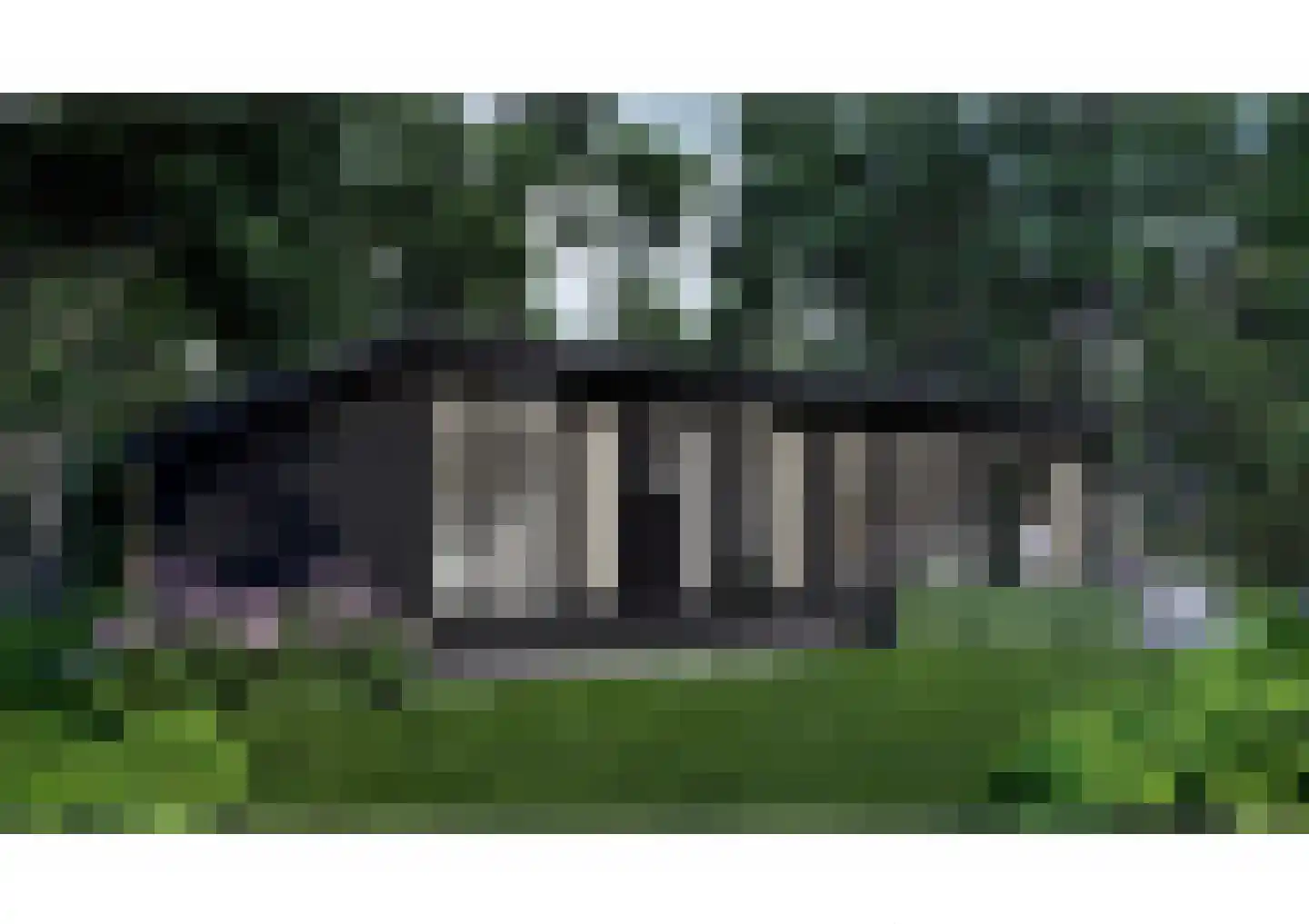 Scheggertdijk 90 Almen thumbnail 35
