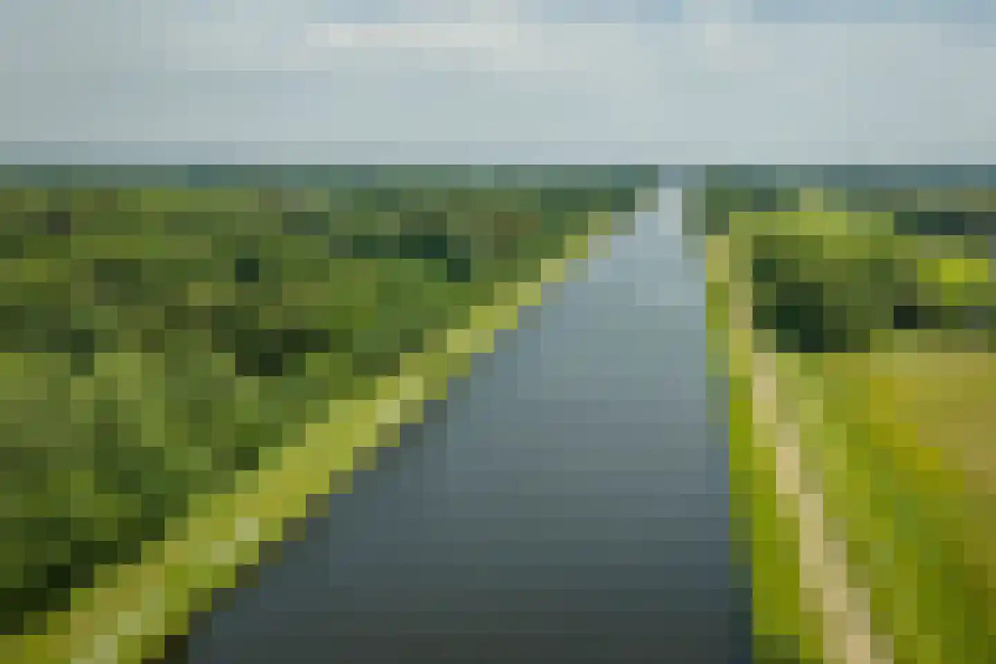 Scheggertdijk 90 Almen thumbnail 38