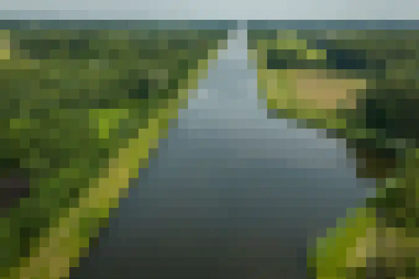 Scheggertdijk 90 Almen thumbnail 4