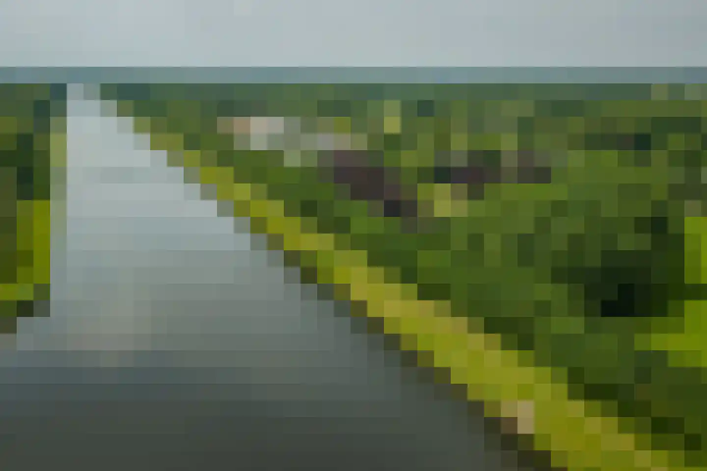 Scheggertdijk 90 Almen thumbnail 5