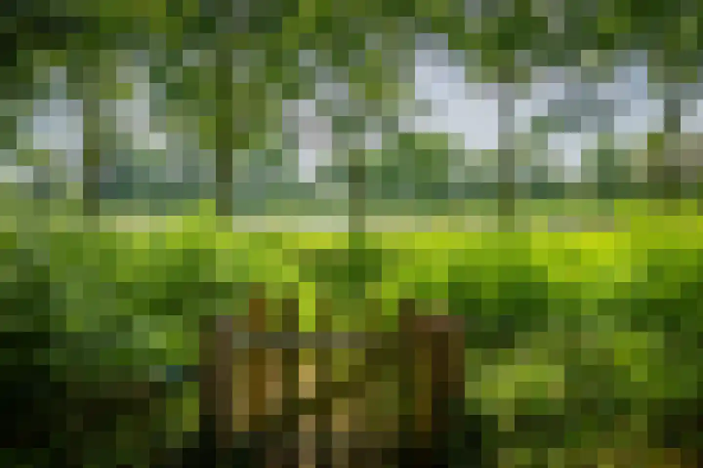 Scheggertdijk 90 Almen thumbnail 6