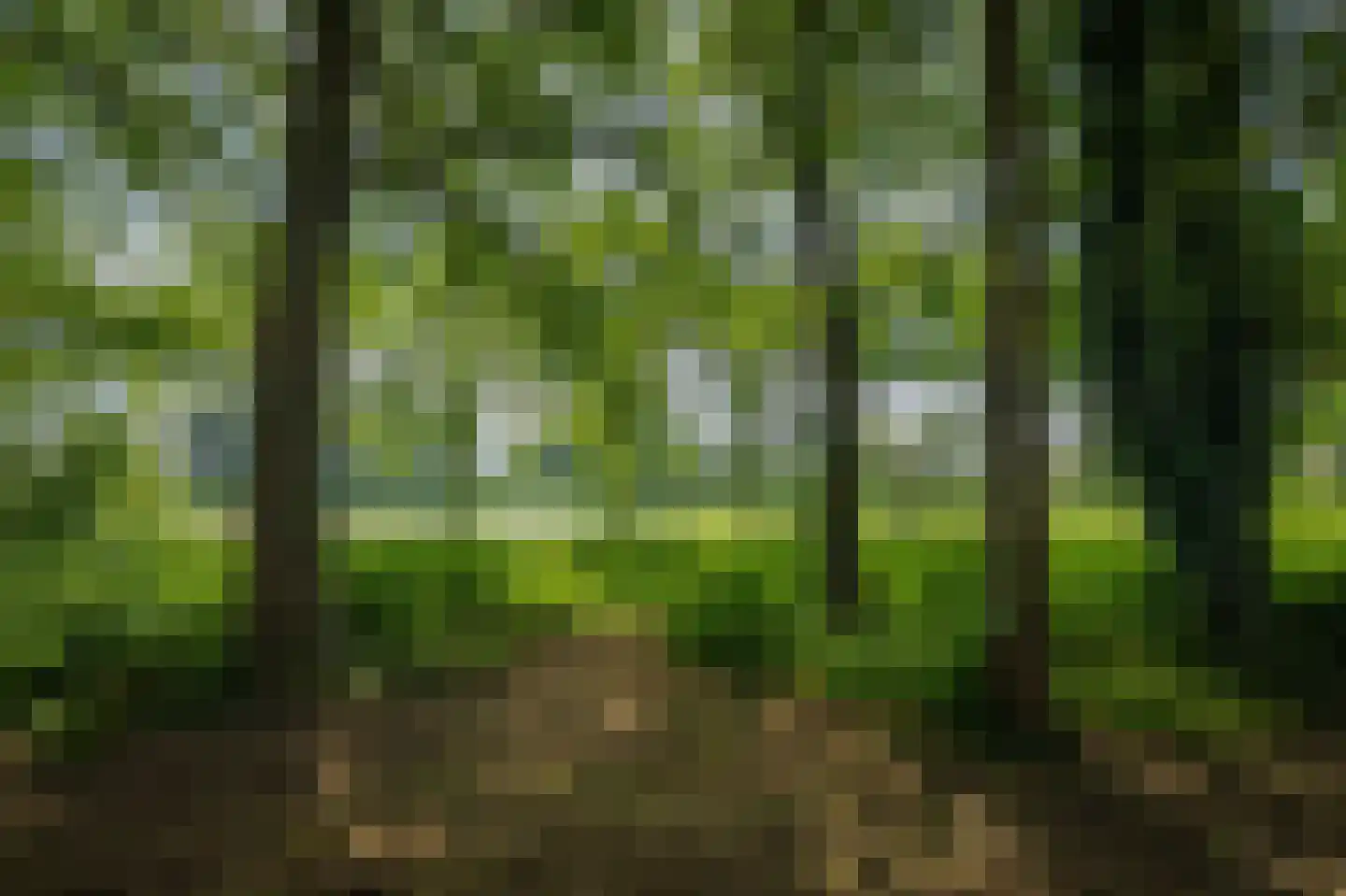 Scheggertdijk 90 Almen thumbnail 7