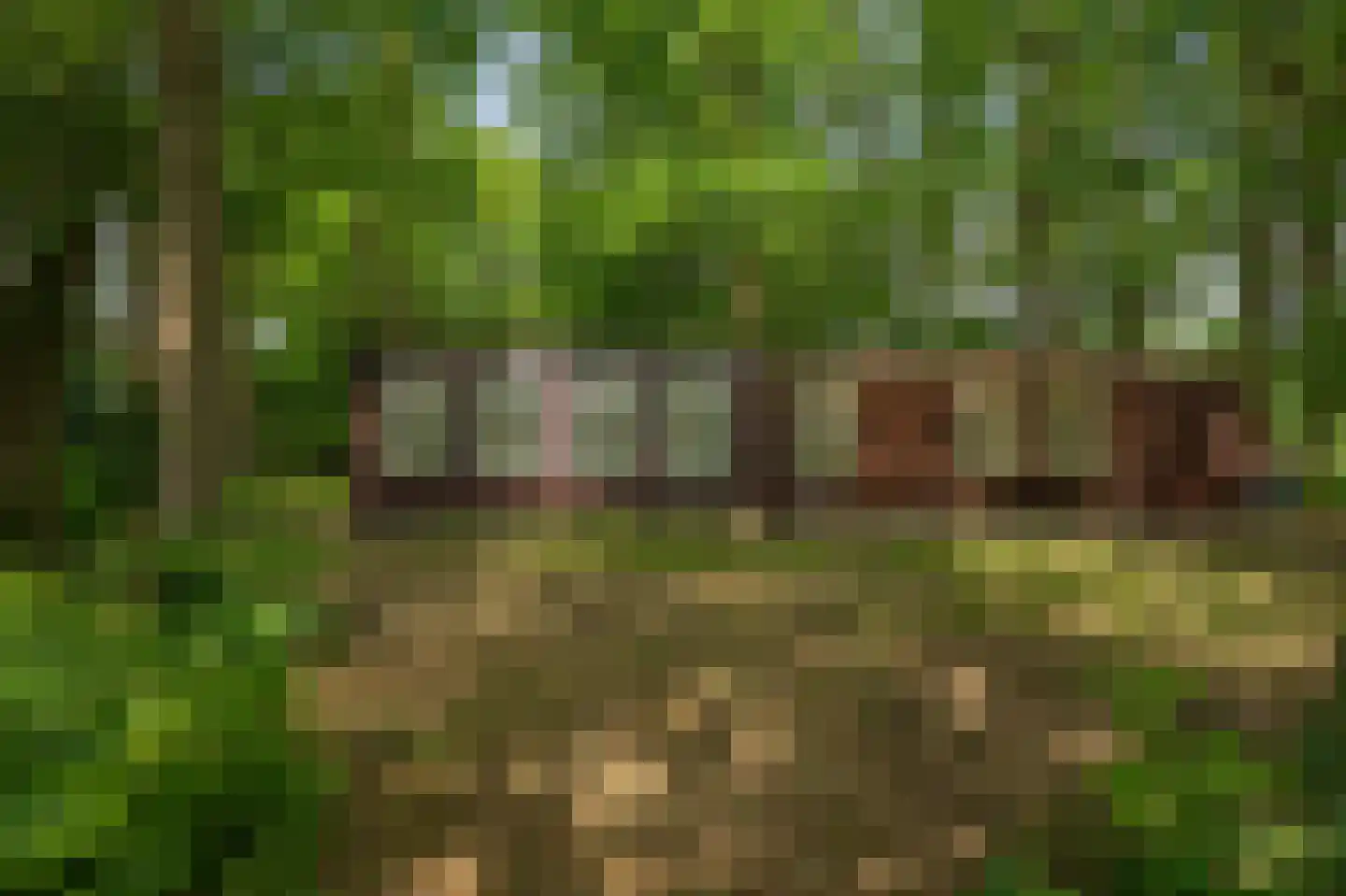 Scheggertdijk 90 Almen thumbnail 9