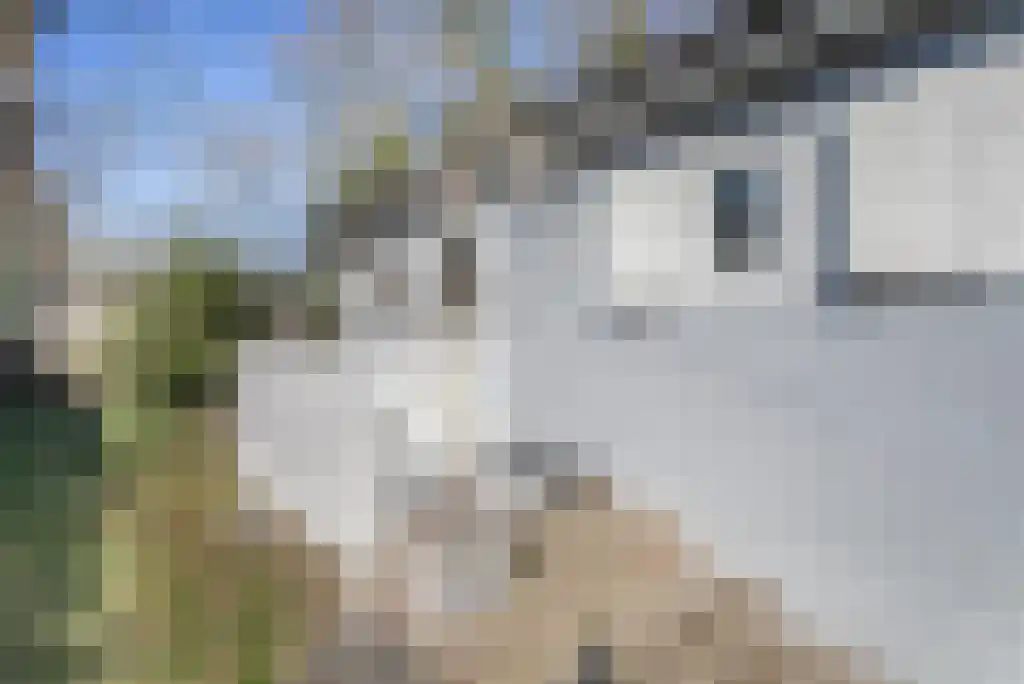 Scheibaan 11 B 28 Oisterwijk thumbnail 20