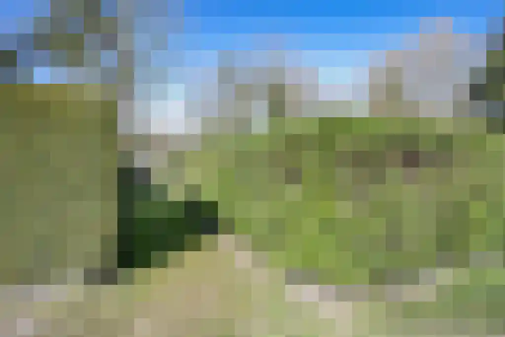 Scheibaan 11 B 28 Oisterwijk thumbnail 21