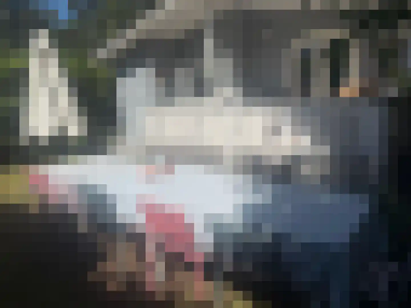 Scheibaan 11 B 28 Oisterwijk thumbnail 24