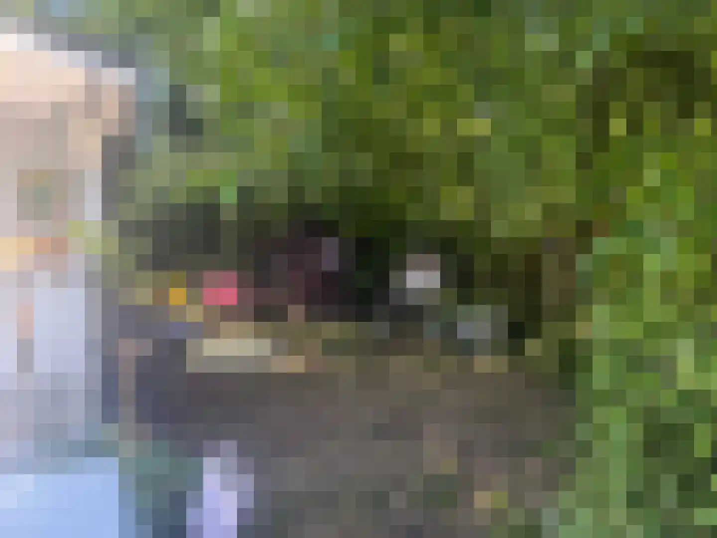 Scheibaan 11 B 28 Oisterwijk thumbnail 25