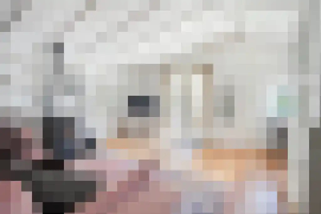 Scheibaan 11 B 28 Oisterwijk thumbnail 4
