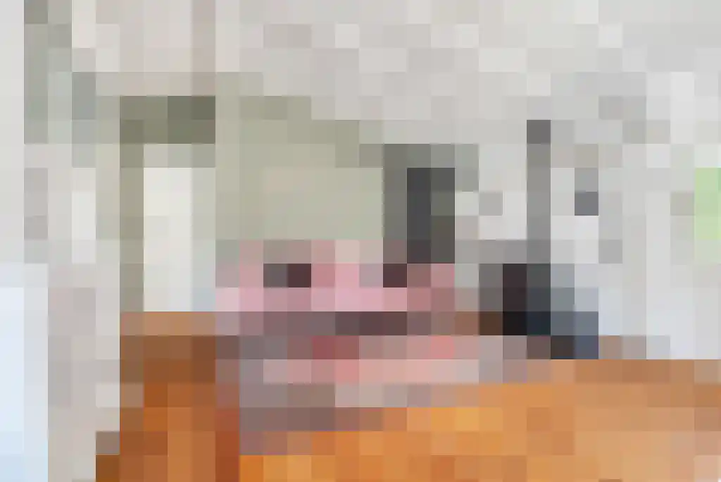 Scheibaan 11 B 28 Oisterwijk thumbnail 5