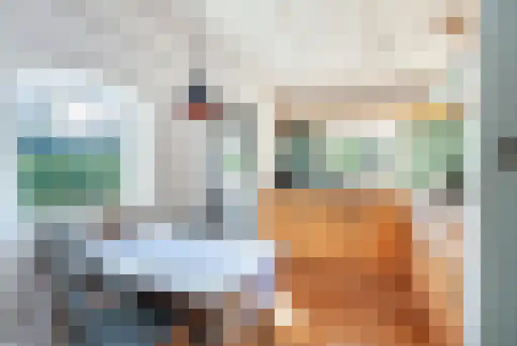 Scheibaan 11 B 28 Oisterwijk thumbnail 8