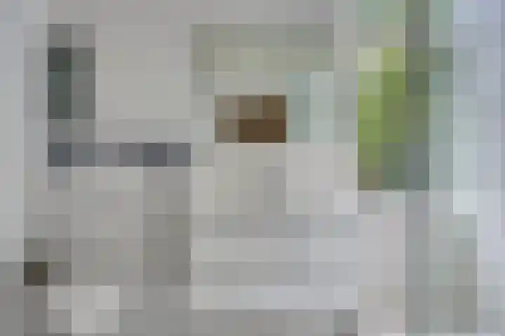 Scheibaan 17 17 Oisterwijk thumbnail 21