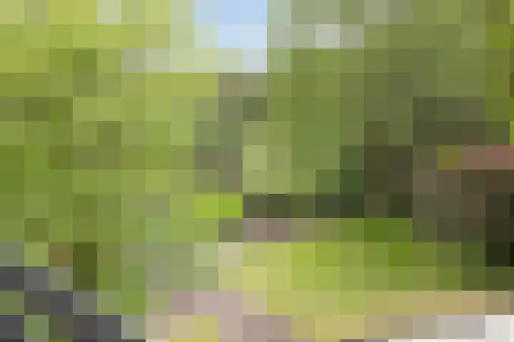 Scheibaan 17 17 Oisterwijk thumbnail 23