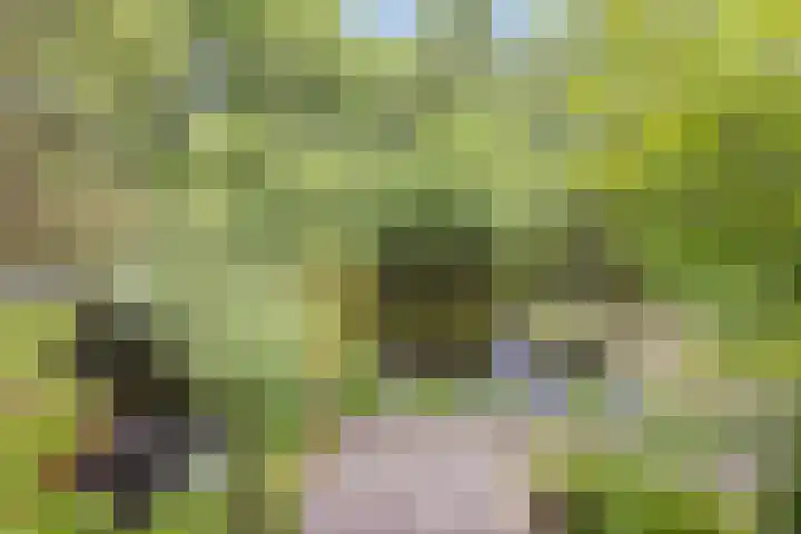 Scheibaan 17 17 Oisterwijk thumbnail 24