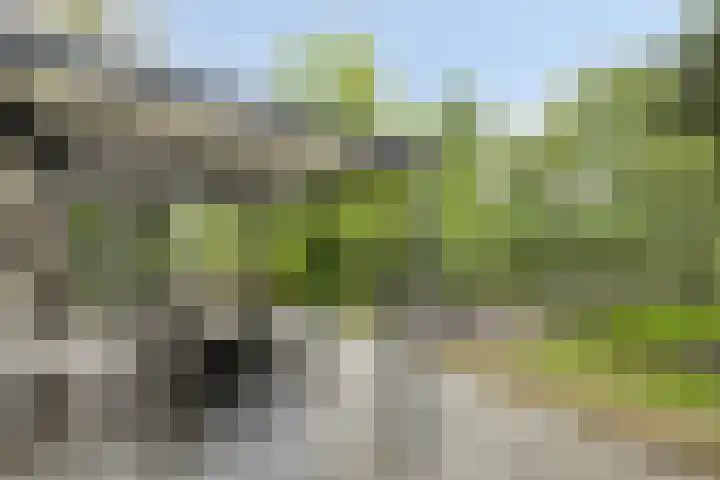 Scheibaan 17 17 Oisterwijk thumbnail 25