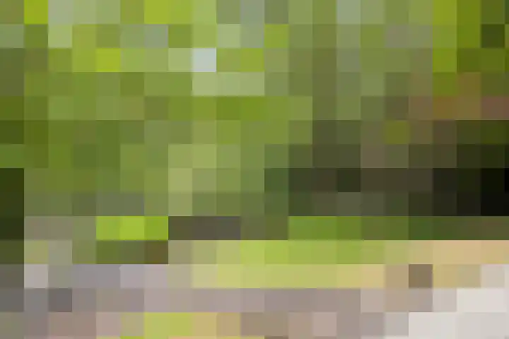 Scheibaan 17 17 Oisterwijk thumbnail 26