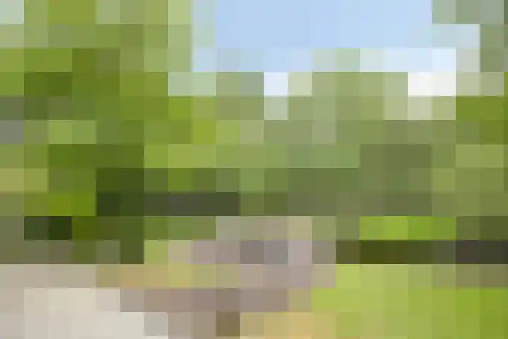 Scheibaan 17 17 Oisterwijk thumbnail 27