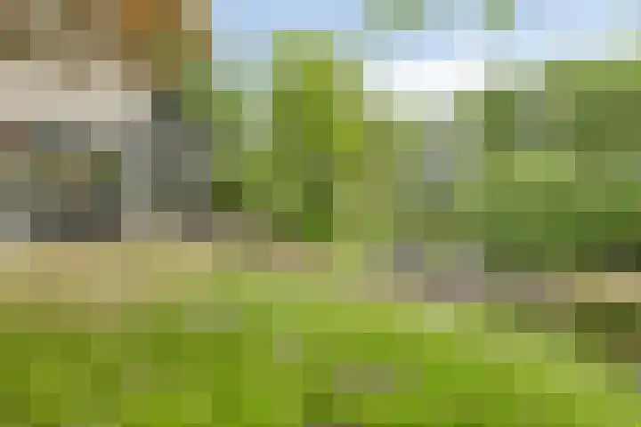 Scheibaan 17 17 Oisterwijk thumbnail 30