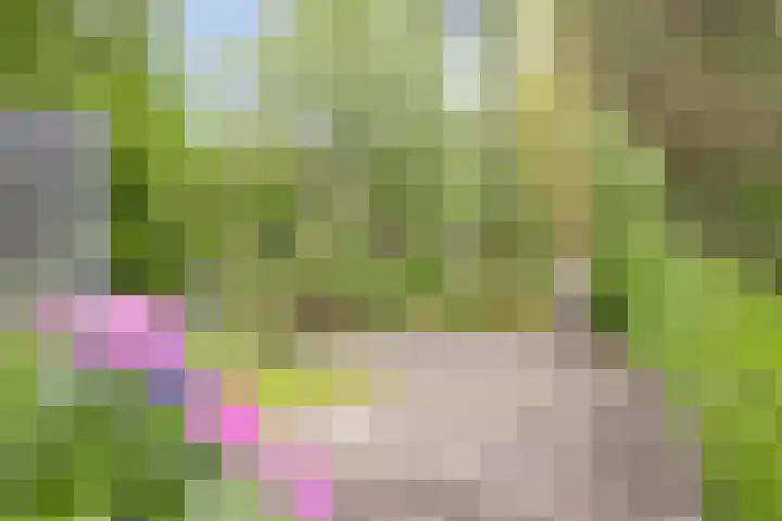 Scheibaan 17 17 Oisterwijk thumbnail 33