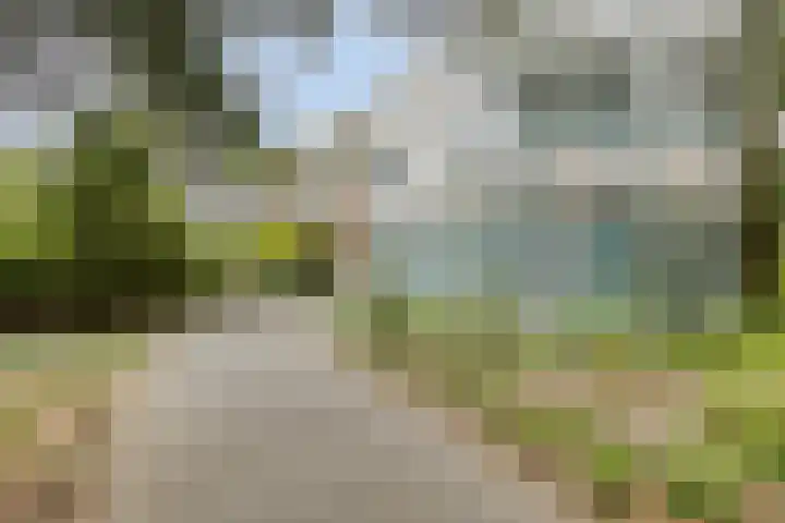 Scheibaan 17 17 Oisterwijk thumbnail 36